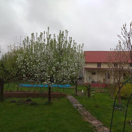 Garden House Bed & Breakfast Almaty Ngoại thất bức ảnh